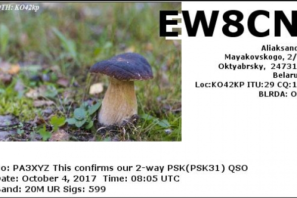 callsign-ew8cn-visitorcallsign-pa3xyz-qsodate-2017-10-04-08-05-00-0-band-20m-mode-pskDB1E2719-AED7-4656-D636-3FB97ED589F5.png
